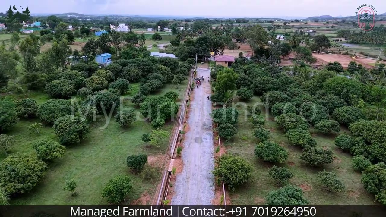Forest Breeze Farmland | Denkanikottai | Premium Managed Farmland near Bangalore
