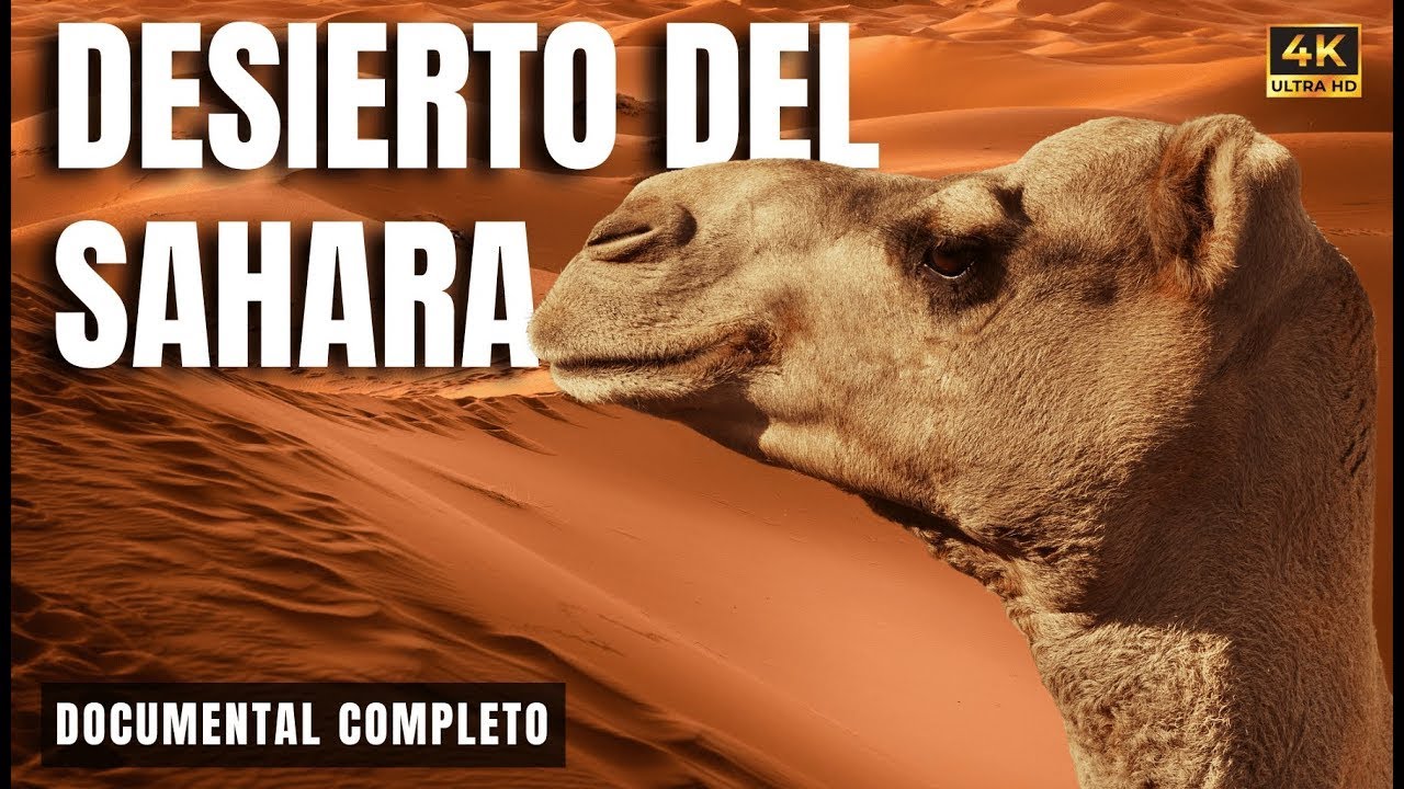 SAHARA SALVAJE 🐪 | El Desierto de los Mil Peligros | Documental en Español 4K