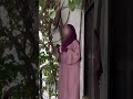Premium Abaya & Khimar Set 🤍 | New Arrival