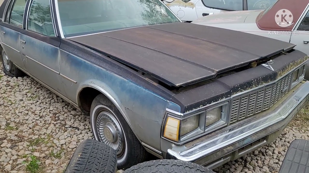 Box Caprice Lineup: 1977-79 Chevrolet sedans for projects!