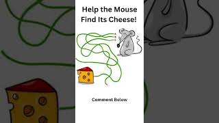 Help the Mouse Find Its Cheese! 🧀🐭 #mazechallenge  #funforkids  #brainteaser #puzzlefun