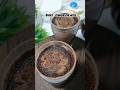 Trending Hot Chocolate🍫 #trending #shorts #food #cooking #youtubeshorts #hotchocolate #winterspecial