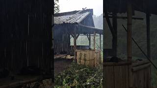 Heavy rain at Abah's hut #nature #lifeisbutadream #rain