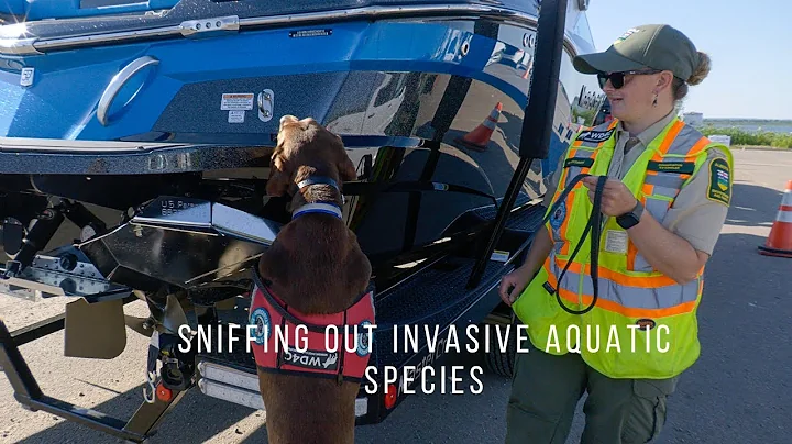 Stopping the spread of Aquatic Invasive Species