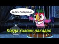 ПЕРЕОЗВУЧКА Попугай Кеша | Смешная 