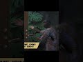 Khaby Lame Joins 007: First Light | #khabylame #007firstlight #007 #jamesbond #gamingclips
