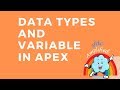 Introduction to Datatypes and Variable in apex