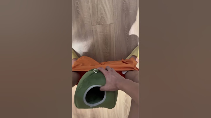 胖胖：两点了活爹，还不睡吗#小鸟互动 #搞笑 #pets #birds #parrot #animals #cute #funny #治愈#shorts