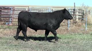 Lot 424