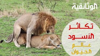 الحيوان الذي بنمط التكاثر أمامك يتكاثر التكاثر عند