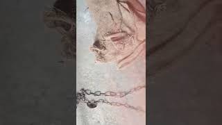 ami tomi ami aar maa vath khachei aer aei maa amadar mosa taracha