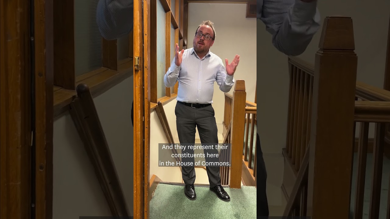 What is a Member of Parliament?