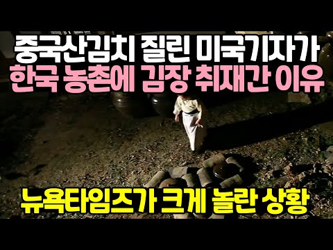 중국산 김치 질린 미국기자가 한국 농촌에 김장 취재간 이유