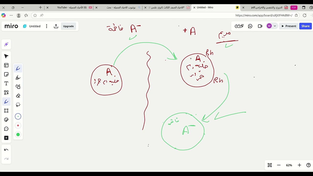 العامل الرايزيسي في فصائل الدم