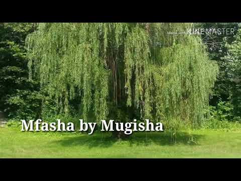 Mfasha by Mugisha official video lyrics