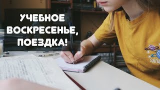 УЧЕБНОЕ ВОСКРЕСЕНЬЕ ДОМА, СБОРЫ В ПУТЕШЕСТВИЕ//ОКТЯБРЬ