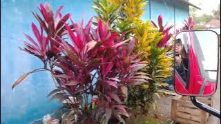 part 2 throw garbage in the final disposal site