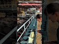 Innovative Calf Feeding System Machine: High-Efficiency Milk Flow Control