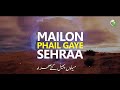 ay mery piyary khuda.......cheema copier 03006701983