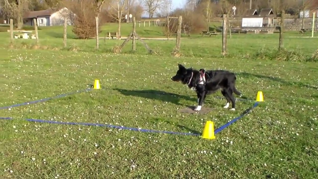 Enea - février 2025