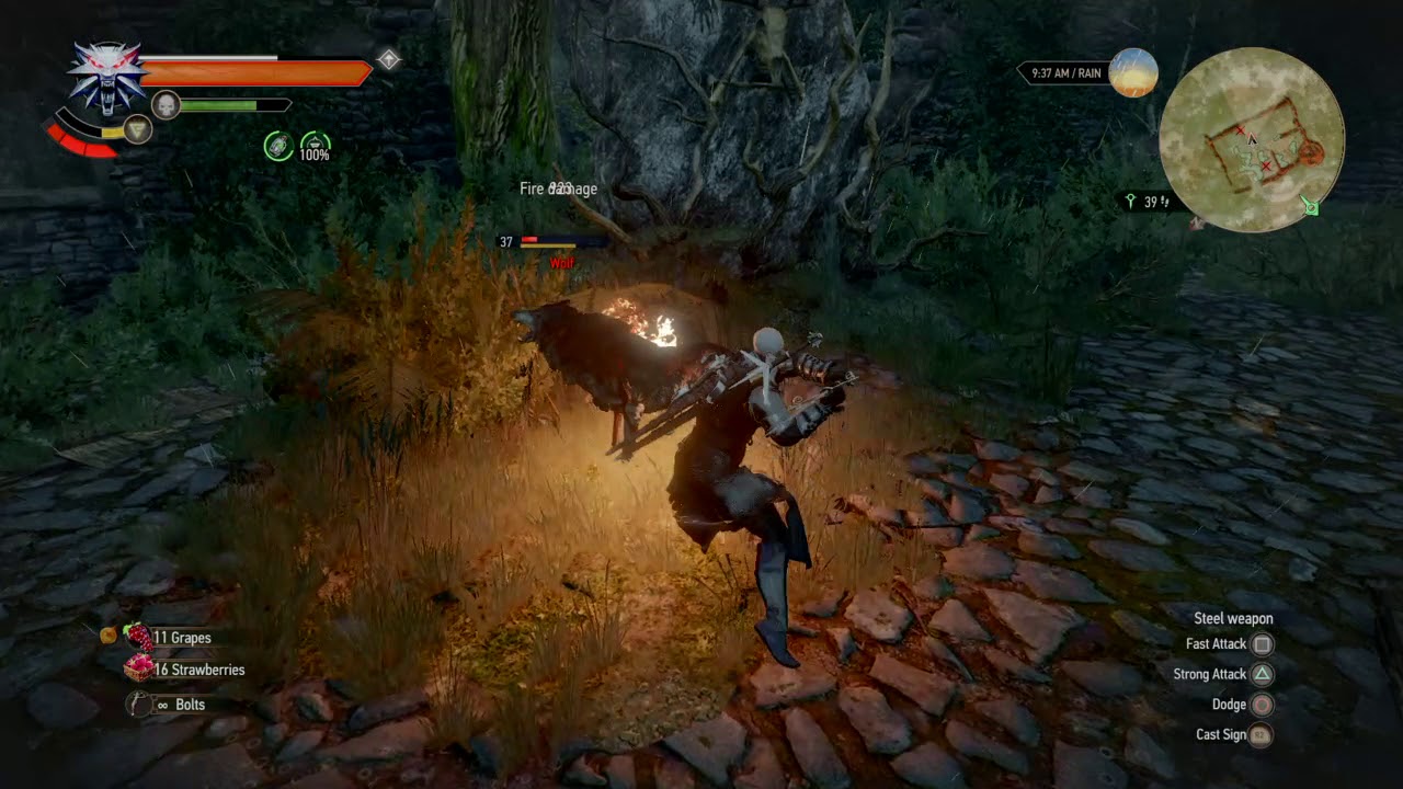 The Witcher 3 fist fight at end YouTube