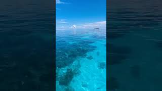 Raja Ampat||distrik Kep.Ayau||Kampung Rutum🌊🌴🌴