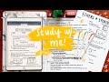 Study with Me - 10+ Hours of Studying & Note-taking - Michigan State University