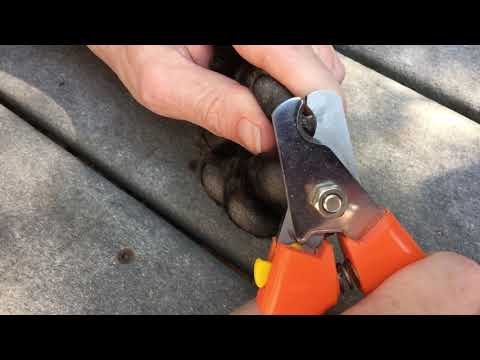How to cut