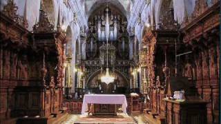 Leżajsk baroque pipe organ - J.S. Bach Praeludium in c minor, BWV 546 chords
