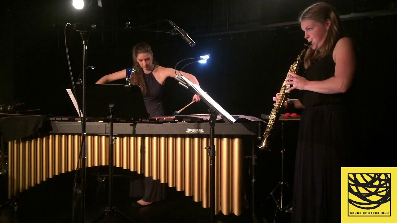 Arshia Samsaminia -Time , Space and Illusion- Sound of Stockholm 2017 -  Persson-Meitzner Duo
