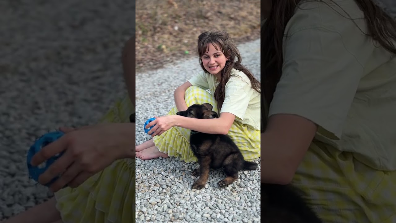 Mr Green Mira x Jack