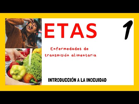 💥 ENFERMEDADES transmitidas