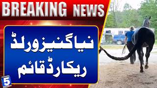 New Guinness World Record Set | BREAKING NEWS | Channel5Newshd