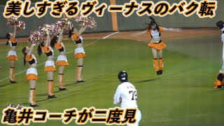 美しすぎる巨人ヴィーナスのバク転を亀井コーチが二度見(笑) 2022年4月13日現地 巨人