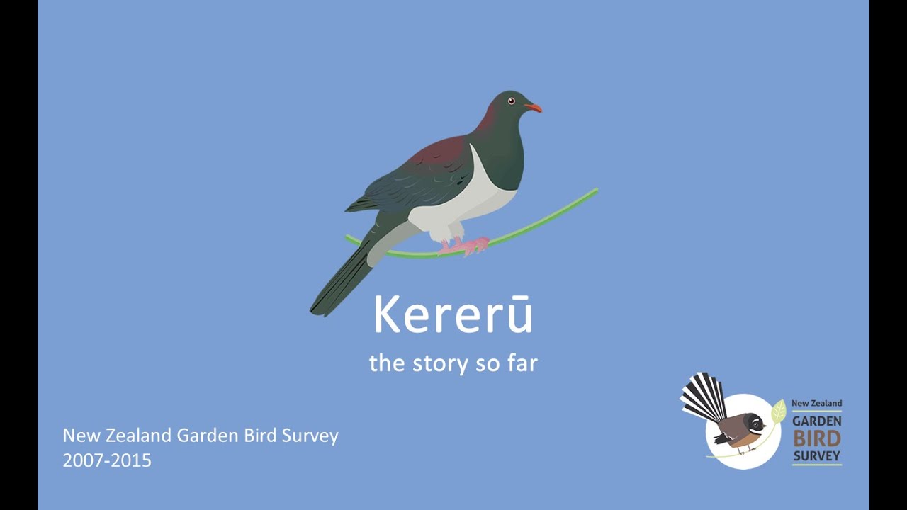 Kererū: the story so far. New Zealand Garden Bird Survey 2007 - 2015