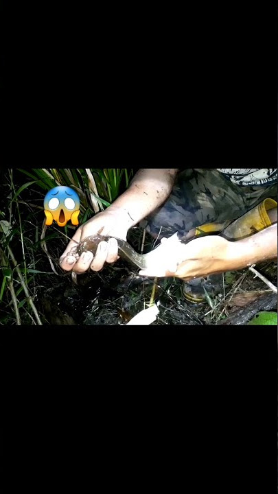korban mutilasi
