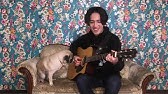 おじカワ パグ太郎 アニメ 眞島秀和主演ドラマ Youtube おじカワ パグ太郎 アニメ 眞島秀和主演ドラマ Youtube