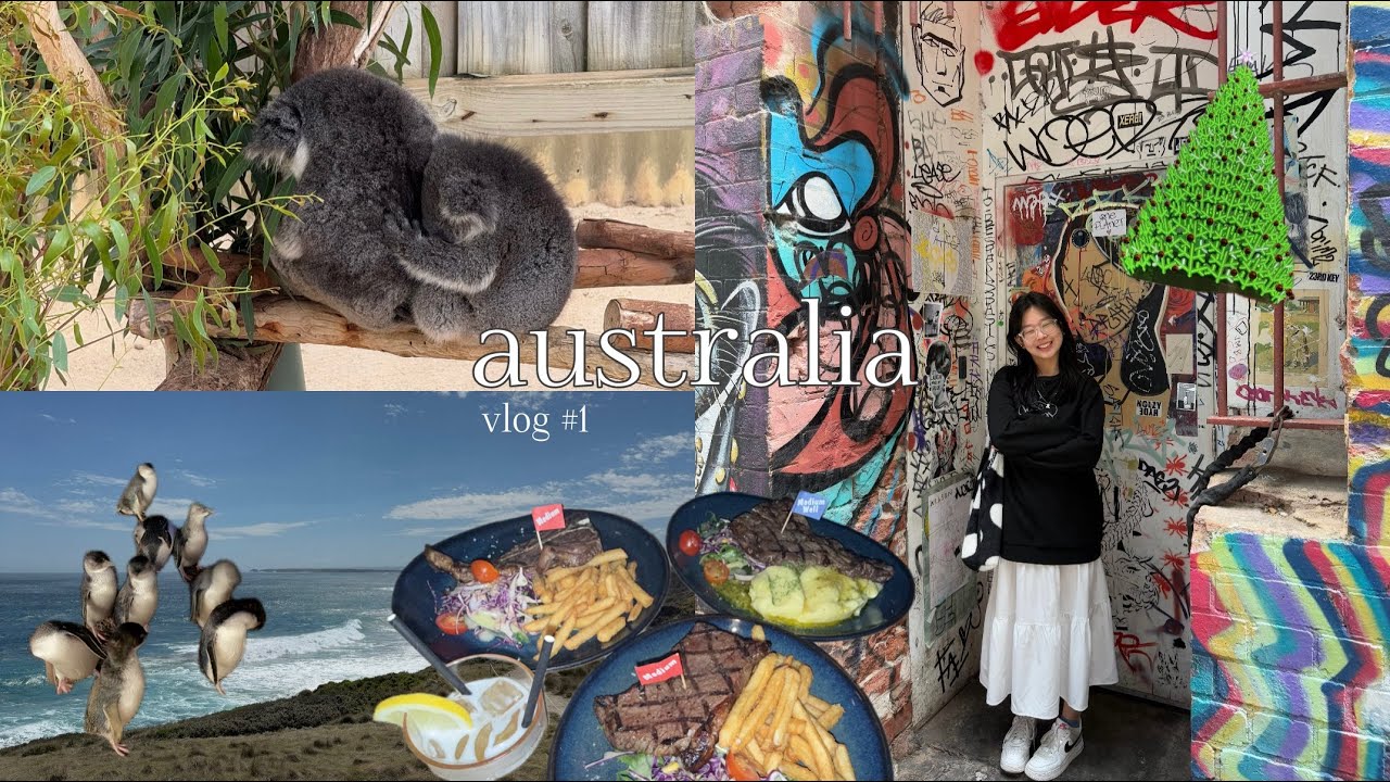 AUSTRALIA VLOG 🇦🇺 (part 1) | great barrier reef🪸, fitzroy island🏝️ & penguin parade🐧