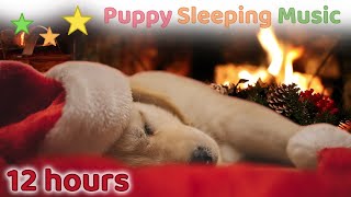 ☆ 12 HOURS ☆ Christmas SLEEP MUSIC for Dogs NO ADS 🎄🎅 Christmas Music Instrumental 🐶 Puppy Sleeping