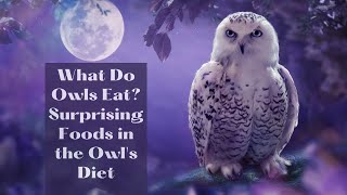 What Do Owls Eat? Surprising Foods in the Owl's Diet