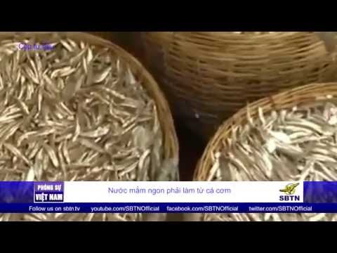 Video 09/06/15 - PHÓNG SỰ VIỆT NAM: Nước mắm ngon phải làm... - youtube