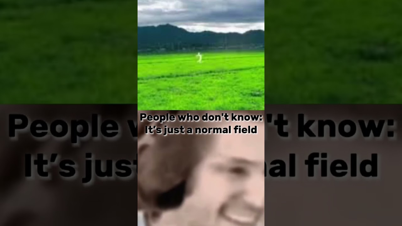 the kunekune.. (not the pig breed) 