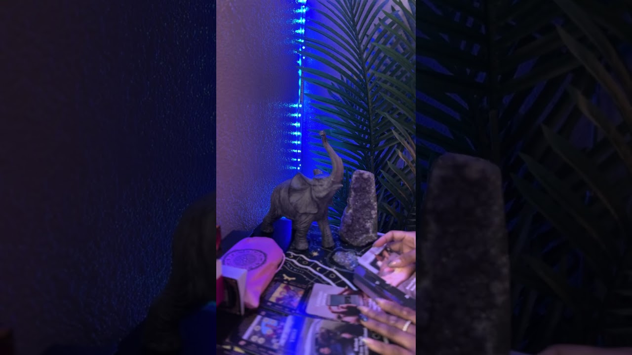 Keep the Fake and Karmic People Out Your Face‼️ #explorepage #tarotreading 