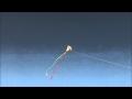 Homemade Kite Homemade Kite