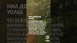 Нил Дональд Уолш -  Что важно для души? #shorts #shortsvideo #youtubeshorts