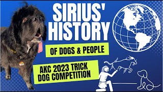 2023 # 1 Newfoundland  Sirius & Sassafras Submission #2  2023 AKC National Trick Dog Competition