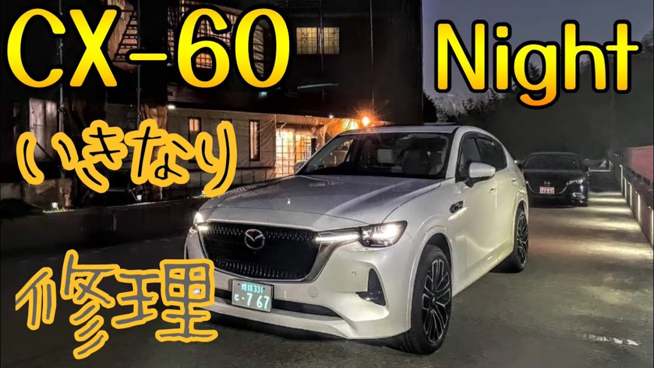 電光ナンバー　当時物、その他 Yahoo!オークション -「字光式ナンバー当時」の落札相場・落札価格