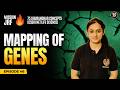 CSIR NET Life Science 2026 | Mapping of Genes | Genetics Most important topics | Bansal Academy