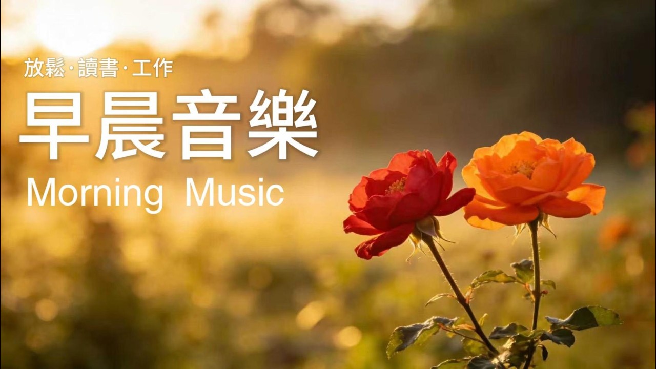 早晨鋼琴音樂 1小時【清新活力】🌿 晨間鋼琴獨奏｜讓輕盈的音符，為今天注入滿滿能量｜放鬆・專注・讀書・工作｜