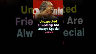 Unexpected friendship are 🙂❤️...#shrots #shortsvideo #viral #motivation #love